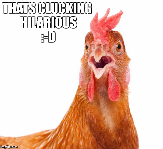 WTCluck | THATS CLUCKING HILARIOUS :-D | image tagged in wtcluck | made w/ Imgflip meme maker