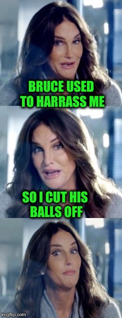 BRUCE USED TO HARRASS ME SO I CUT HIS BALLS OFF | made w/ Imgflip meme maker