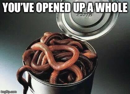 Can of Worms | YOU’VE OPENED UP A WHOLE | image tagged in can of worms | made w/ Imgflip meme maker