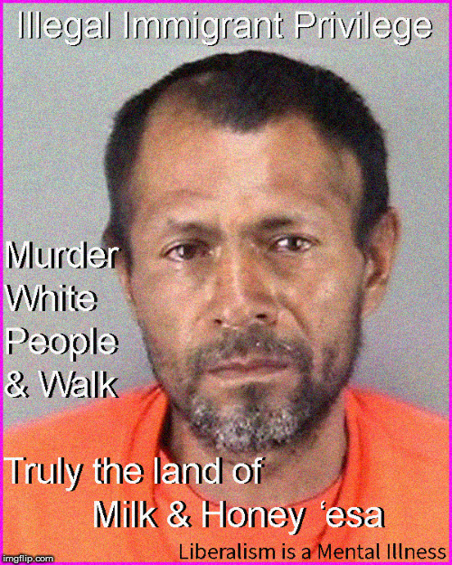 Illegal Immigrant Privilege | image tagged in illegal immigrant,illegal immigrants,political meme,current events,kate steinle,liberalism is a mental disorder | made w/ Imgflip meme maker
