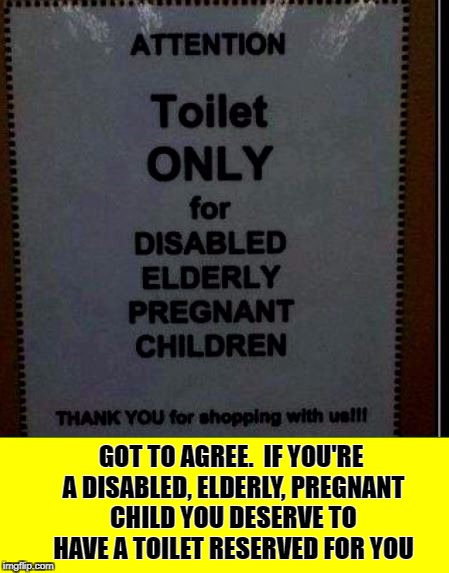 Talk About A Minority Group! | GOT TO AGREE.  IF YOU'RE A DISABLED, ELDERLY, PREGNANT CHILD YOU DESERVE TO HAVE A TOILET RESERVED FOR YOU | image tagged in memes,meme,minority,toilet,funny signs,funny sign | made w/ Imgflip meme maker