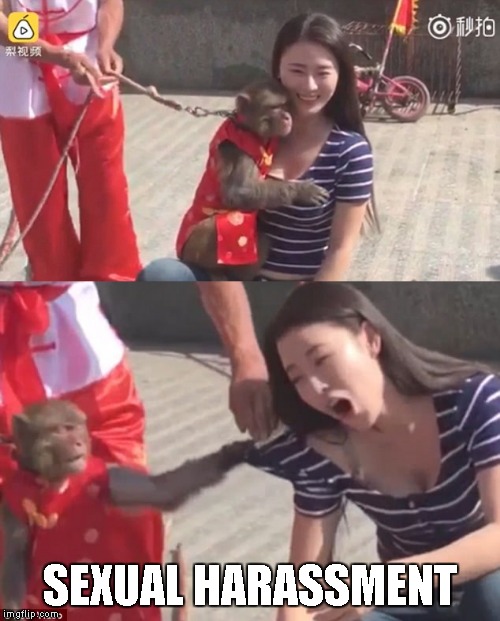 Monkey Gropes Woman | SEXUAL HARASSMENT | image tagged in memes,monkey,grope,woman,sexual harassment | made w/ Imgflip meme maker