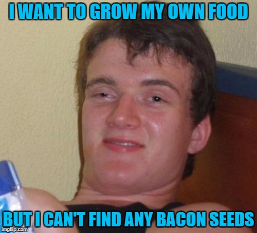 Brought back for Food Week Nov 29 - Dec 5...A TruMooCereal Event
 | I WANT TO GROW MY OWN FOOD; BUT I CAN'T FIND ANY BACON SEEDS | image tagged in memes,10 guy,food week,food,bacon seeds,flashback | made w/ Imgflip meme maker