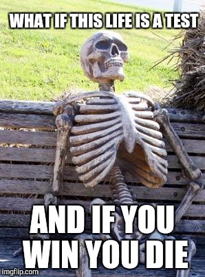 Waiting Skeleton Meme | WHAT IF THIS LIFE IS A TEST AND IF YOU WIN YOU DIE | image tagged in memes,waiting skeleton | made w/ Imgflip meme maker