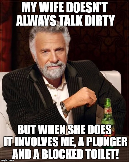 The Most Interesting Man In The World Meme | MY WIFE DOESN'T ALWAYS TALK DIRTY BUT WHEN SHE DOES IT INVOLVES ME, A PLUNGER AND A BLOCKED TOILET! | image tagged in memes,the most interesting man in the world | made w/ Imgflip meme maker