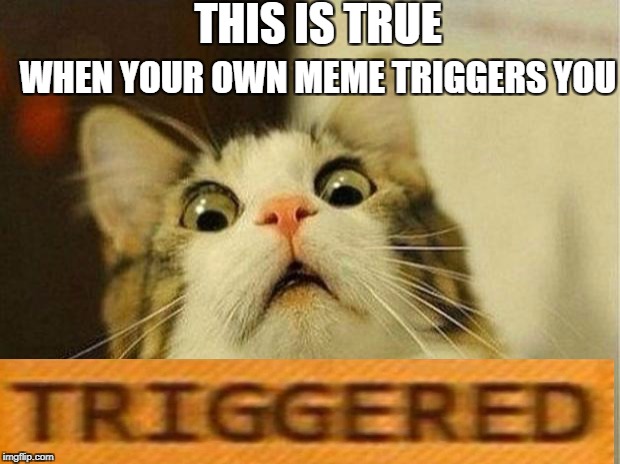 TRIGGERED | THIS IS TRUE; WHEN YOUR OWN MEME TRIGGERS YOU | image tagged in memes,triggered | made w/ Imgflip meme maker