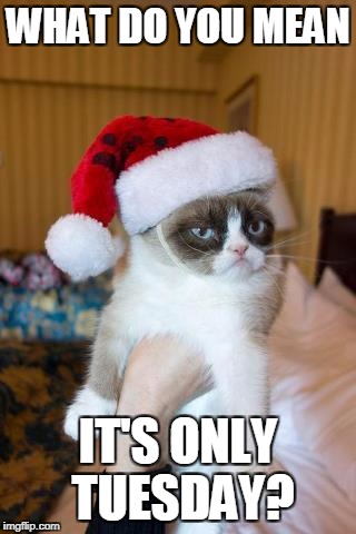 Grumpy Cat Christmas | WHAT DO YOU MEAN; IT'S ONLY TUESDAY? | image tagged in memes,grumpy cat christmas,grumpy cat | made w/ Imgflip meme maker