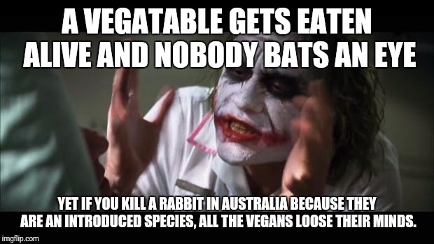 And everybody loses their minds | A VEGATABLE GETS EATEN ALIVE AND NOBODY BATS AN EYE; YET IF YOU KILL A RABBIT IN AUSTRALIA BECAUSE THEY ARE AN INTRODUCED SPECIES, ALL THE VEGANS LOOSE THEIR MINDS. | image tagged in memes,and everybody loses their minds | made w/ Imgflip meme maker