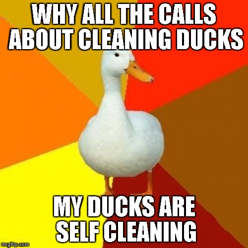 Tech Impaired Duck Meme | WHY ALL THE CALLS ABOUT CLEANING DUCKS; MY DUCKS ARE SELF CLEANING | image tagged in memes,tech impaired duck | made w/ Imgflip meme maker
