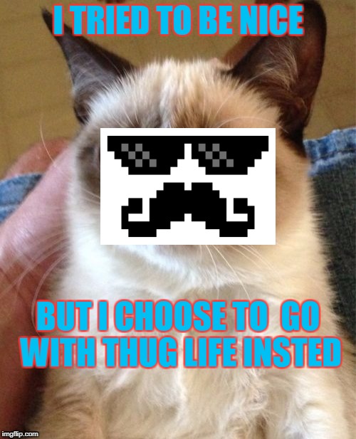 Grumpy Cat Meme | I TRIED TO BE NICE; BUT I CHOOSE TO 
GO WITH THUG LIFE INSTED | image tagged in memes,grumpy cat | made w/ Imgflip meme maker