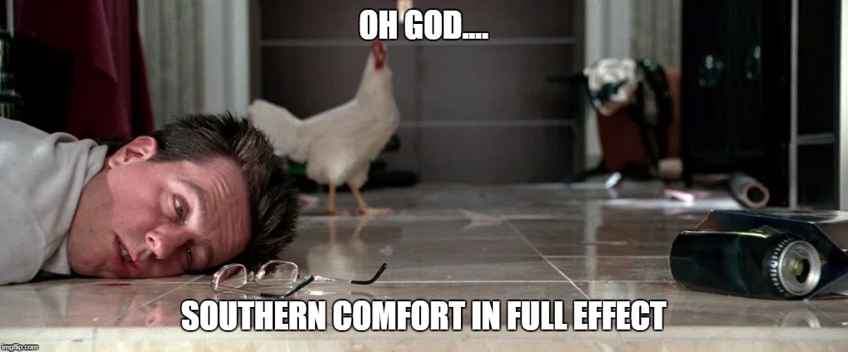 Hangover | OH GOD.... SOUTHERN COMFORT IN FULL EFFECT | image tagged in hangover | made w/ Imgflip meme maker