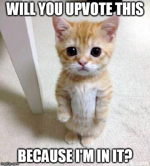 Cute Cat Meme | WILL YOU UPVOTE THIS; BECAUSE I'M IN IT? | image tagged in memes,cute cat | made w/ Imgflip meme maker