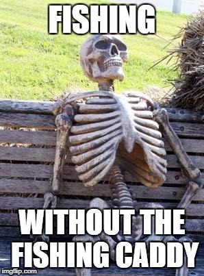 Waiting Skeleton Meme | FISHING; WITHOUT THE FISHING CADDY | image tagged in memes,waiting skeleton | made w/ Imgflip meme maker