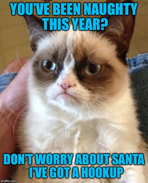 Grumpy Cat | YOU’VE BEEN NAUGHTY THIS YEAR? DON’T WORRY ABOUT SANTA  I’VE GOT A HOOKUP | image tagged in memes,grumpy cat,americanpenguin | made w/ Imgflip meme maker