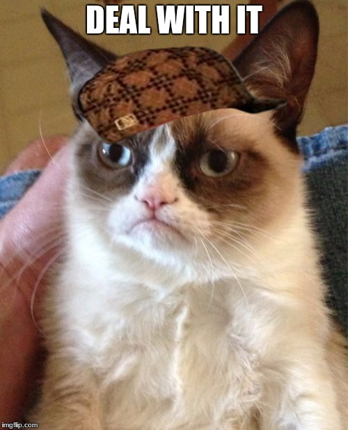 Grumpy Cat Meme | DEAL WITH IT | image tagged in memes,grumpy cat,scumbag | made w/ Imgflip meme maker