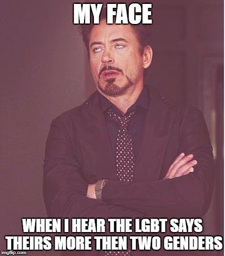 Theirs Not | MY FACE; WHEN I HEAR THE LGBT SAYS THEIRS MORE THEN TWO GENDERS | image tagged in memes,face you make robert downey jr | made w/ Imgflip meme maker