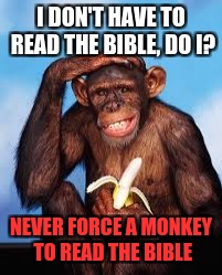 happy monkey | NEVER FORCE A MONKEY TO READ THE BIBLE | image tagged in bible,banana | made w/ Imgflip meme maker