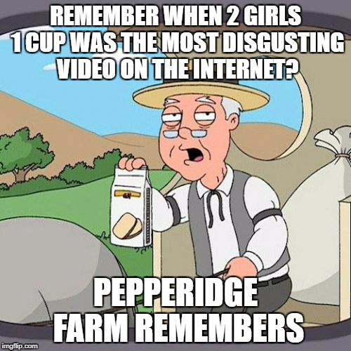 Pepperidge Farm Remembers Meme | REMEMBER WHEN 2 GIRLS 1 CUP WAS THE MOST DISGUSTING VIDEO ON THE INTERNET? PEPPERIDGE FARM REMEMBERS | image tagged in memes,pepperidge farm remembers | made w/ Imgflip meme maker
