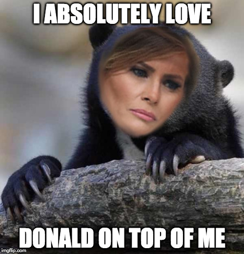 Confession Melania | I ABSOLUTELY LOVE; DONALD ON TOP OF ME | image tagged in confession melania | made w/ Imgflip meme maker