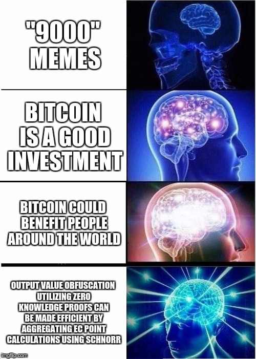 Expanding Brain Meme | "9000" MEMES; BITCOIN IS A GOOD INVESTMENT; BITCOIN COULD BENEFIT PEOPLE AROUND THE WORLD; OUTPUT VALUE OBFUSCATION UTILIZING ZERO KNOWLEDGE PROOFS CAN BE MADE EFFICIENT BY AGGREGATING EC POINT CALCULATIONS USING SCHNORR | image tagged in memes,expanding brain | made w/ Imgflip meme maker