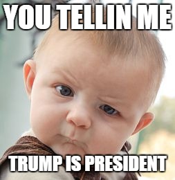 Skeptical Baby | YOU TELLIN ME; TRUMP IS PRESIDENT | image tagged in memes,skeptical baby | made w/ Imgflip meme maker