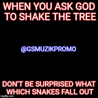 Blank | WHEN YOU ASK GOD TO SHAKE THE TREE; @GSMUZIKPROMO; DON'T BE SURPRISED WHAT WHICH SNAKES FALL OUT | image tagged in blank | made w/ Imgflip meme maker