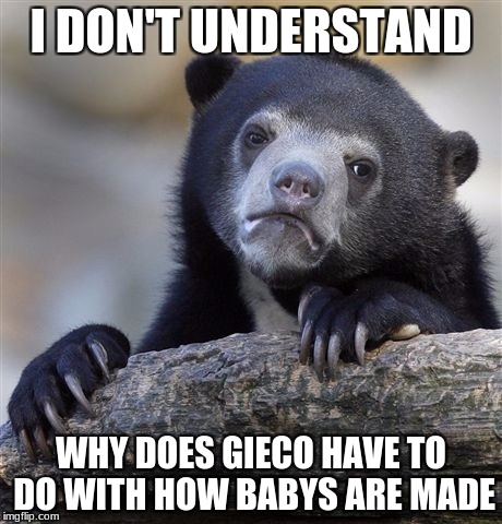 Confession Bear | I DON'T UNDERSTAND; WHY DOES GIECO HAVE TO DO WITH HOW BABYS ARE MADE | image tagged in memes,confession bear | made w/ Imgflip meme maker