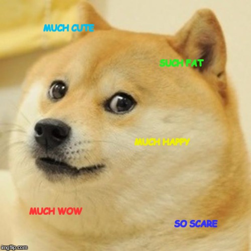 Doge Meme | MUCH CUTE; SUCH FAT; MUCH HAPPY; MUCH WOW; SO SCARE | image tagged in memes,doge | made w/ Imgflip meme maker