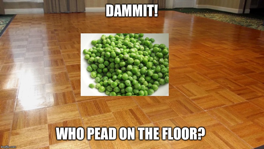 Floor | DAMMIT! WHO PEAD ON THE FLOOR? | image tagged in floor | made w/ Imgflip meme maker