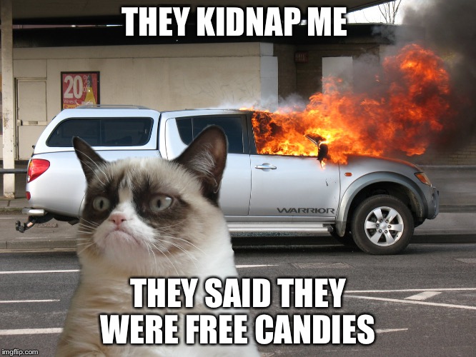 Grumpy Cat Fire Car | THEY KIDNAP ME; THEY SAID THEY WERE FREE CANDIES | image tagged in grumpy cat fire car | made w/ Imgflip meme maker