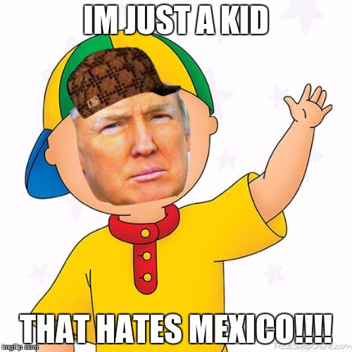 IM JUST A KID; THAT HATES MEXICO!!!! | image tagged in politics lol | made w/ Imgflip meme maker