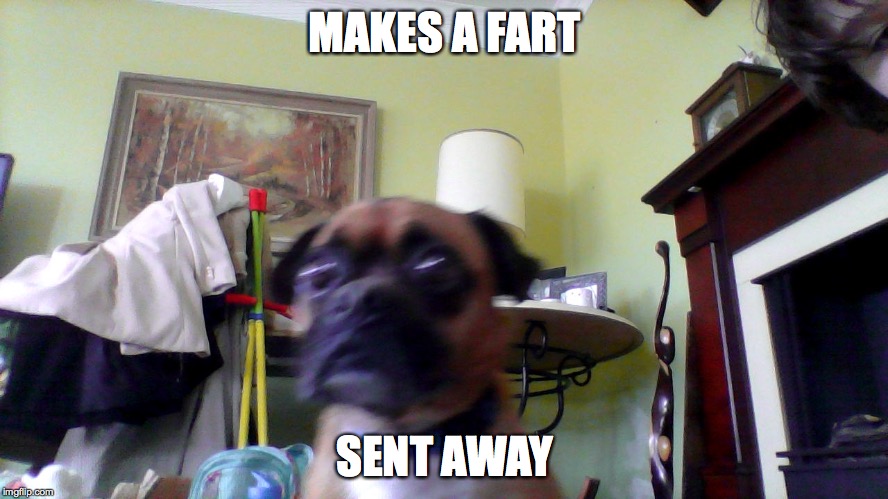 Doc | MAKES A FART; SENT AWAY | image tagged in doc | made w/ Imgflip meme maker