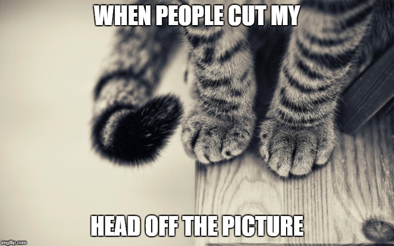 Picture | WHEN PEOPLE CUT MY; HEAD OFF THE PICTURE | image tagged in memes | made w/ Imgflip meme maker