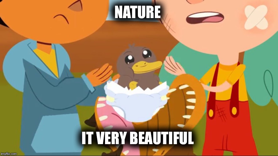 NATURE; IT VERY BEAUTIFUL | image tagged in platypus | made w/ Imgflip meme maker