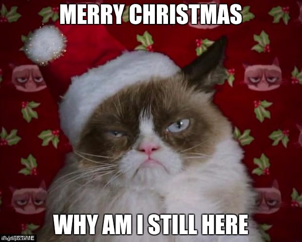 Grumpy Cat Christmas | MERRY CHRISTMAS; WHY AM I STILL HERE | image tagged in grumpy cat christmas | made w/ Imgflip meme maker