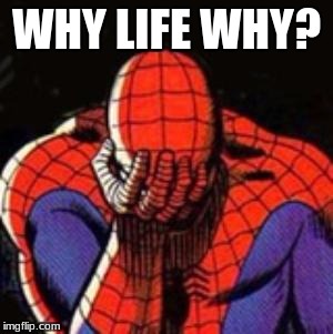 Sad Spiderman Meme | WHY LIFE WHY? | image tagged in memes,sad spiderman,spiderman | made w/ Imgflip meme maker