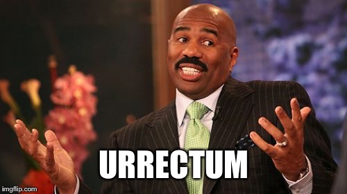 URRECTUM | image tagged in memes,steve harvey | made w/ Imgflip meme maker