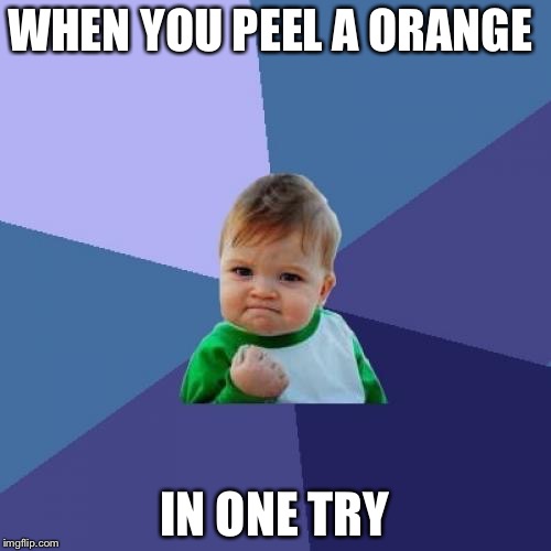 Success Kid Meme | WHEN YOU PEEL A ORANGE; IN ONE TRY | image tagged in memes,success kid | made w/ Imgflip meme maker