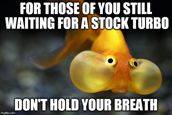 hold your breath goldfish | FOR THOSE OF YOU STILL WAITING FOR A STOCK TURBO; DON'T HOLD YOUR BREATH | image tagged in hold your breath goldfish | made w/ Imgflip meme maker