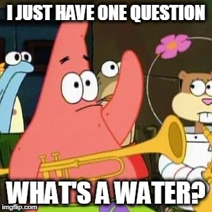I JUST HAVE ONE QUESTION WHAT'S A WATER? | image tagged in patrick | made w/ Imgflip meme maker