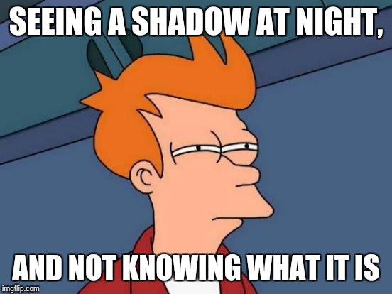 Futurama Fry | SEEING A SHADOW AT NIGHT, AND NOT KNOWING WHAT IT IS | image tagged in memes,futurama fry | made w/ Imgflip meme maker