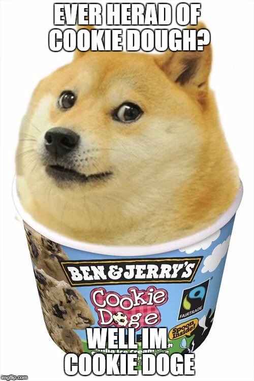 EVER HERAD OF COOKIE DOUGH? WELL IM COOKIE DOGE | image tagged in cookie doge | made w/ Imgflip meme maker