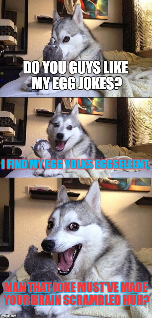 Bad Pun Dog | DO YOU GUYS LIKE MY EGG JOKES? I FIND MY EGG YOLKS EGGSELLENT, MAN THAT JOKE MUST'VE MADE YOUR BRAIN SCRAMBLED HUH? | image tagged in memes,bad pun dog | made w/ Imgflip meme maker