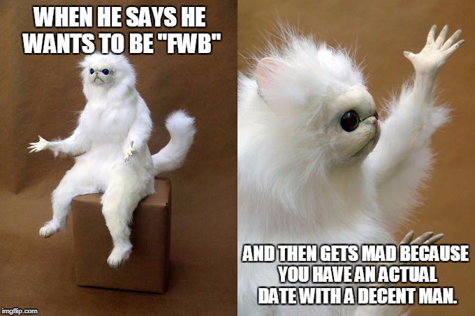 Persian Cat Room Guardian Meme | WHEN HE SAYS HE WANTS TO BE "FWB"; AND THEN GETS MAD BECAUSE YOU HAVE AN ACTUAL DATE WITH A DECENT MAN. | image tagged in memes,persian cat room guardian | made w/ Imgflip meme maker