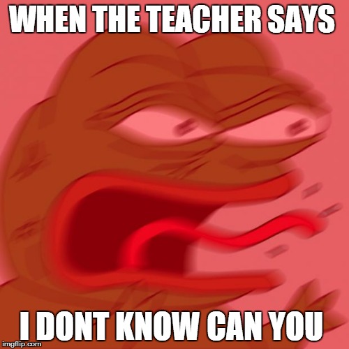 pepe | WHEN THE TEACHER SAYS; I DONT KNOW CAN YOU | image tagged in pepe | made w/ Imgflip meme maker