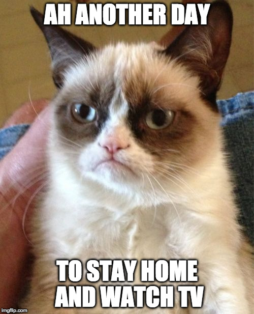 Grumpy Cat | AH ANOTHER DAY; TO STAY HOME AND WATCH TV | image tagged in memes,grumpy cat | made w/ Imgflip meme maker