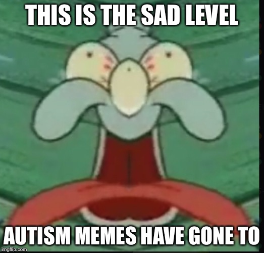 squiiuqs | THIS IS THE SAD LEVEL; AUTISM MEMES HAVE GONE TO | image tagged in memes | made w/ Imgflip meme maker