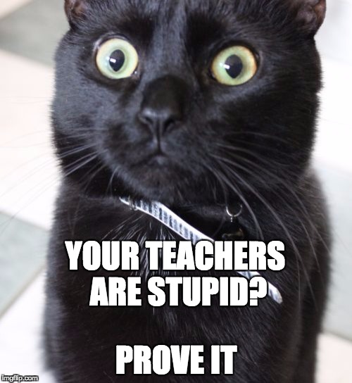 Woah Kitty | YOUR TEACHERS ARE STUPID? PROVE IT | image tagged in memes,woah kitty | made w/ Imgflip meme maker