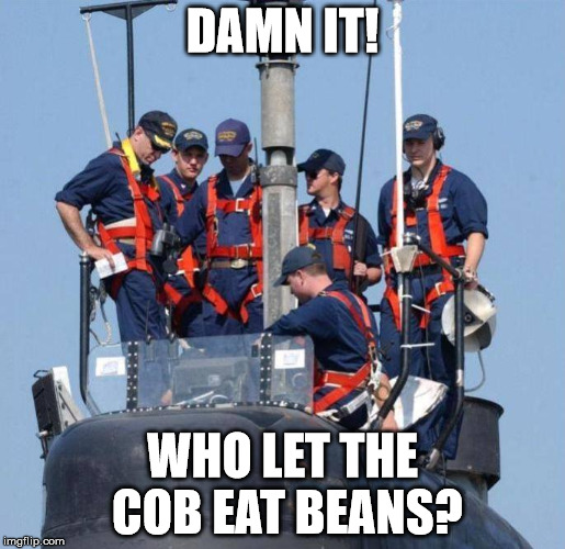 DAMN IT! WHO LET THE COB EAT BEANS? | image tagged in boat2 | made w/ Imgflip meme maker