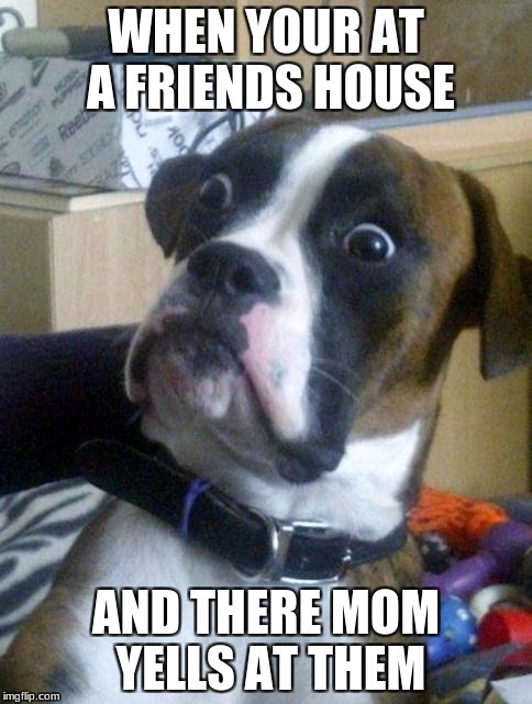 Suprised Boxer | WHEN YOUR AT A FRIENDS HOUSE; AND THERE MOM YELLS AT THEM | image tagged in suprised boxer | made w/ Imgflip meme maker